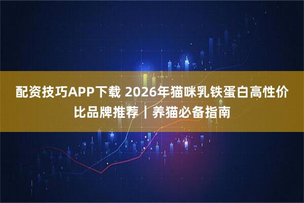 配资技巧APP下载 2026年猫咪乳铁蛋白高性价比品牌推荐｜养猫必备指南